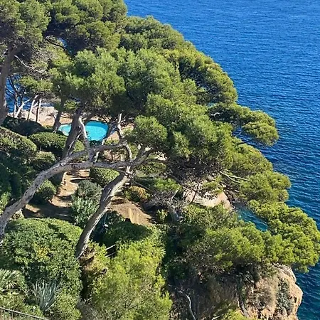 Apartment White Cap Sa Sal Girona